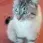 Profile picture for user A039.marie-philippebou